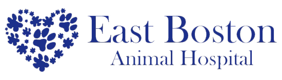 East Boston Animal Hospital